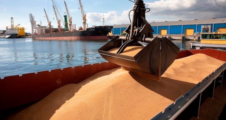 CARGO HANDLING ON SHIPS CARRYING DANGEROUS AND HAZARDOUS SUBSTANCES IN SOLID FORM IN BULK